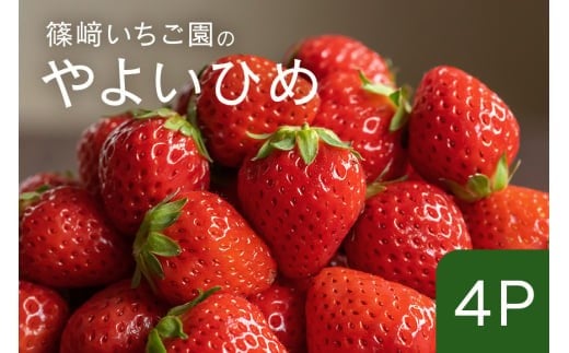 【2026年先行予約】やよいひめ4P (A32-007)