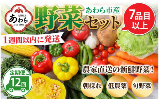 
【12ヶ月連続お届け】農家直送 旬の野菜セット 7品目以上 1箱
