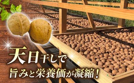 【アルファーム】令和7年産信濃くるみ　殻付きタイプ（Lサイズ）※2025年11月下旬以降発送　くるみくるみくるみくるみくるみくるみくるみ