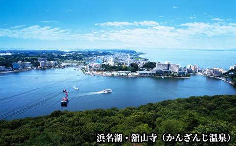 静岡県浜松市 ANAトラベラーズホテル クーポン 15，000点分