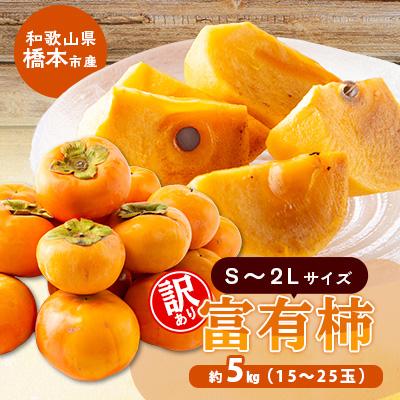ふるさと納税 橋本市 柿【先行受付】柳フルーツ園(訳あり)富有柿 約5kg