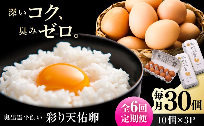 卵 放牧卵 鶏卵 生卵 国産 平飼い 放し飼い 卵焼き 卵かけご飯