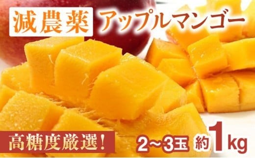 
            2026年 先行予約 【高糖度厳選】プレミアム完熟マンゴー1kg 2～3玉(栽培期間中 減農薬栽培) アナナス農園 完熟 マンゴー 果物 フルーツ
          