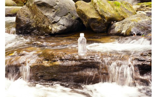 南小国町の天然水「サクラシリカ」500ml×24本 南小国町 サクラシリカ 500ml 24本 シリカ水 シリカ 飲むシリカ のむシリカ 水 天然水 ネラルウォーター ラベルレス エコ ペットボトル ケース 熊本 阿蘇 南小国町 送料無料