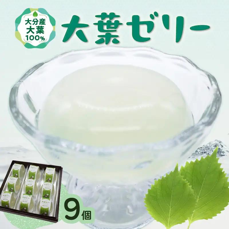 大葉ゼリー 9個入り J05009