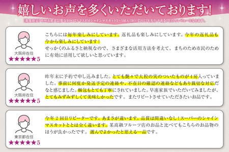 〖数量限定〗甲州市産高品質なROOTS FARMシャインマスカット3～5房入（RO）C-135 【山梨県 シャインマスカット フルーツ シャインマスカット 大粒 シャインマスカット 旬 フルーツ シャ