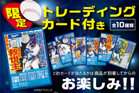 中日ドラゴンズコラボ 創業110年の味噌煎餅専門店の味噌煎餅 18枚入り詰め合わせ セット 菓子 袋入りなのでちょっとした手土産にも 飛騨 井之廣製菓舗 飛騨古川 飛騨市[DR033]