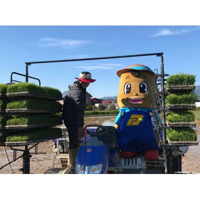ふるさと納税 厚沢部町 【令和7年産】北海道厚沢部産ふっくりんこ20kg(5kg×4袋) |  | 01