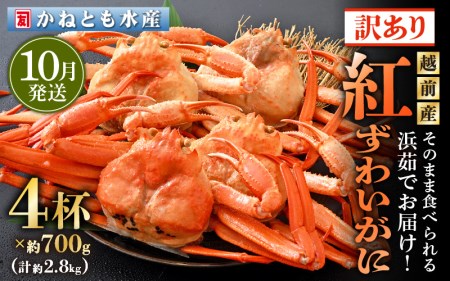 【訳あり】≪浜茹で≫越前産 紅ずわいがに 約700g × 4杯 食べ方しおり付【10月発送分】【紅ズワイガニ カニ かに 蟹 姿 ボイル 冷蔵 福井県】希望日指定不可 [e14-x002_10]