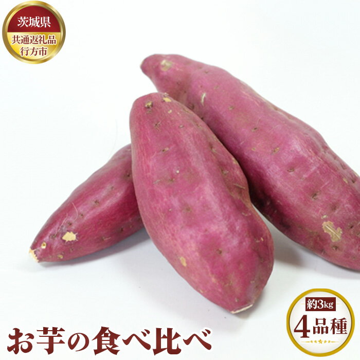 【ふるさと納税】【先行予約】お芋の食べ比べ　約3kg（4品種）【茨城県共通返礼品 行方市】 ／ 旬 新鮮 さつま芋 サツマイモ 野菜 送料無料 茨城県 No.633