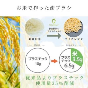 歯ブラシ 12本 （3色×4本） ホワイト グリーン ピンク お米でできた歯ブラシ キラグリン |B62