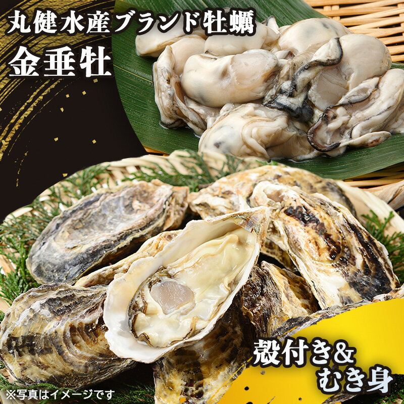 【ふるさと納税】牡蠣《金垂牡》むき身1kg＆殻付き (個数が選べる：15個／30個) 冷凍 丸健水産 ブランド牡蠣｜牡蠣 かき カキ きんすいか むき身 殻付き 広島 広島牡蠣 [2275-2277]
