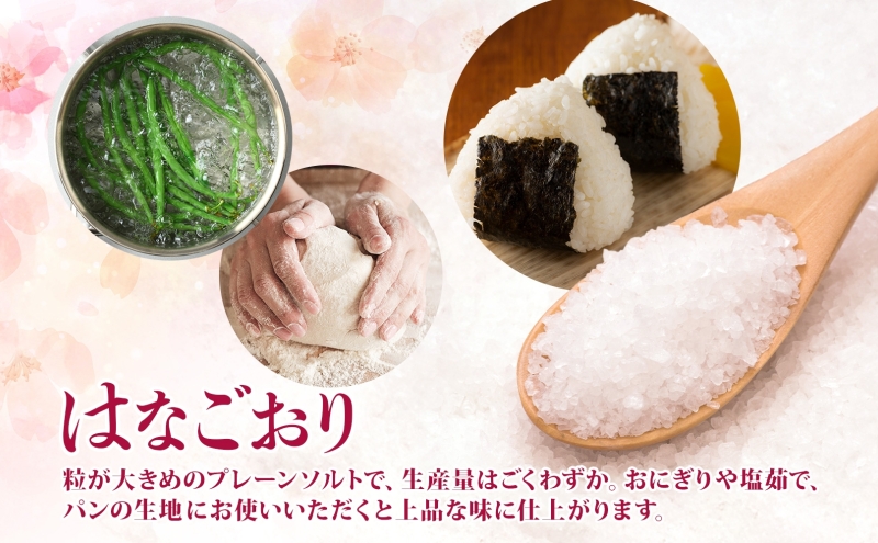 カムイミンタルの塩 はなごおり 1パック ミル付き カムイミンタル 塩 お塩 粗塩 調味料 ソルト salt 自然塩 薪釜 プレーンソルト プレーン プレーンタイプ ミネラル まろやか ステーキ 塩む