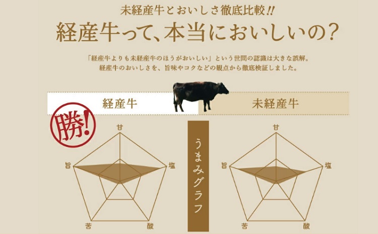 010AA05N.但馬牛経産牛　焼肉用（肩・モモ）500ｇ／焼肉セット 黒毛和牛 いちかわ精肉店 経産牛 牛肉 国産 bbq バーベキュー 焼き肉セット アウトドア キャンプ 冷凍 焼き肉用