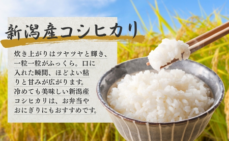 新潟県産 コシヒカリ 5kg 令和7年産 米 お米 こしひかり 白米 精米 新潟 産地直送 単一原料米