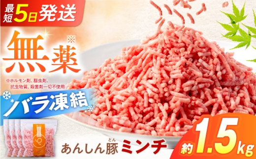 《バラ凍結》ミンチ 約1.5kg（380g×4袋）岐阜県産 豚肉 豚 ミンチ 豚ひき肉 豚挽き肉 あんしん豚 白川町 / 藤井ファーム [AWAF033]