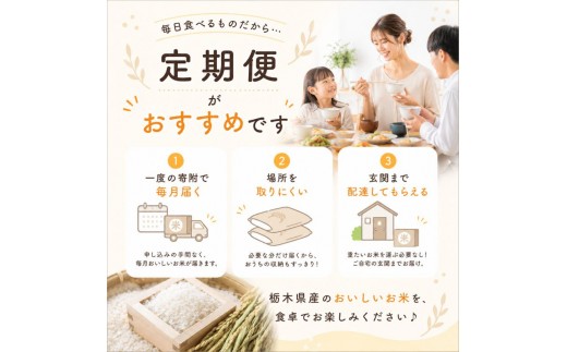 【令和8年産 新米】 【定期便6回】栃木県産 お米 とちぎの星　（無洗米） 10kg 【2026年秋 先行予約】 |  栃木県 矢板市 【栃木県共通返礼品 真岡市産】