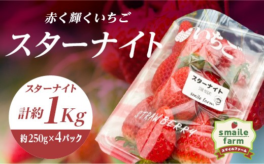 
                  スマイルファーム 赤く輝くいちご スターナイト 約1kg FAF-0040
                
