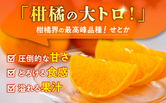 【2026年2月下旬から発送】せとか みかん 約2.5kg 果物 化粧箱入り フルーツ ギフト【小春農園】 [ZBN002]
