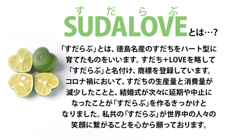 開運巣立すだち）御守とSUDALOVEキーホルダーのセット お守り すだち 徳島 ギフト 就職 結婚