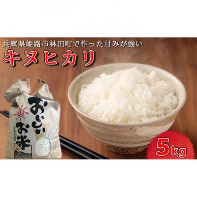 ふるさと納税 姫路市 [令和7年産新米]&lt;10月初旬以降発送予定&gt;きぬひかり5キロ 兵庫県姫路市産[53650728]