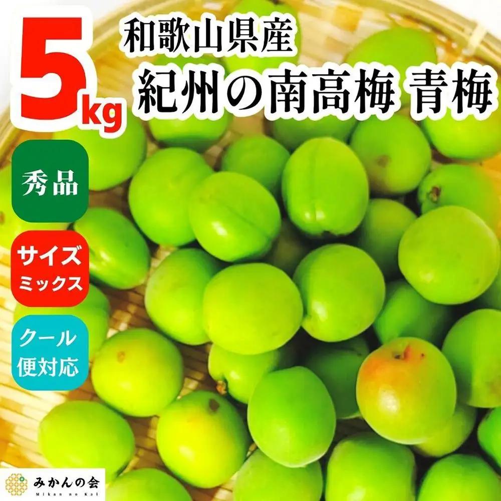 青梅 南高梅 5kg 秀品 サイズミックス 和歌山県産 A品 梅酒作り用 梅ジュース作り用
