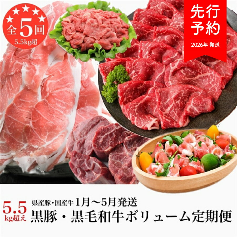 【ふるさと納税】【2026年発送 先行予約】＜定期便・全5回(連続)＞黒豚・黒毛和和牛！大満足定期便！総合計5.5kg超！牛肉 豚肉 黒豚 和牛 黒毛和牛 切り落とし 生ハム 国産 【水迫畜産】