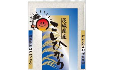 新米 令和6年産 古河市のお米 コシヒカリ 10kg(5kg×2袋） ※着日指定可 | 米 こめ コメ 10キロ こしひかり コシヒカリ 古河市産 茨城県産 贈答 贈り物 プレゼント 茨城県 古河市 