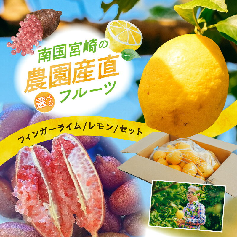 【ふるさと納税】《2026年9月～2027年2月発送 先行予約》【数量・期間限定】【フィンガーライム・レモン・セットが選べる】南国宮崎の農園産直フルーツ 防腐剤・ワックス不使用 果物 フルーツ 果実 デザート スイーツ ライム 柑橘 柑橘類 お取り寄せ グルメ 産地直送