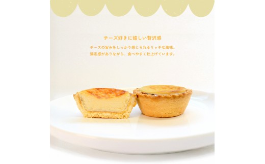 チーズな時間 冷凍 12個入 チーズタルト チーズ タルト とろける クリームチーズ ケーキ 半生 芳醇 和三盆 国産 手土産 濃厚 焼菓子 サクサク 上品 大人 濃厚 半生 解凍 スイーツ お菓子 