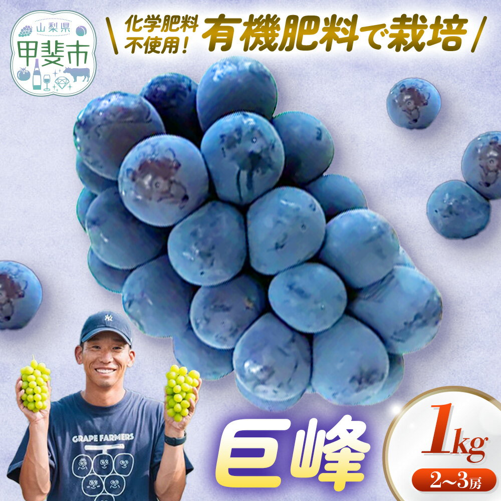 【ふるさと納税】山梨県甲斐市産　巨峰　約1kg 葡萄 フルーツ 果物 山梨 ぶどう 高級 フルーツ ギフト フルーツ 巨峰 ブドウ 葡萄 ギフト 山梨県産 ぶどう 甲斐市 ブドウ かめざわ農園 山梨県甲斐市 DG-4
