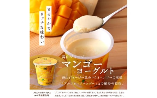 【12カ月定期便】 蒜山ジャージーデザートヨーグルト12個セット（4種類×３個） 詰め合わせ 乳製品 贅沢ヨーグルト スイーツ 白桃 マンゴー ブルーベリー 食べ比べ プレゼント 蒜山酪農 真庭 岡山