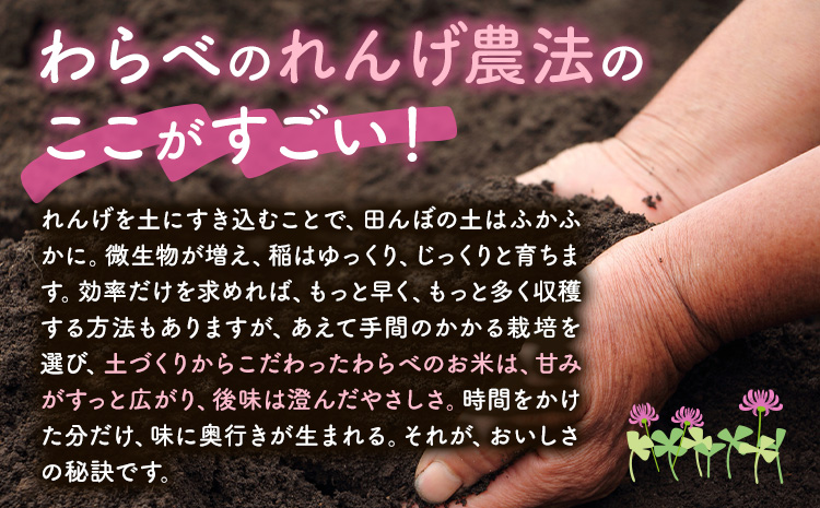 熊本県菊池市産のれんげ米 10kg 《30日以内に出荷予定(土日祝除く)》  精米方法 玄米 お米 レンゲ米 熊本県産 九州産 送料無料