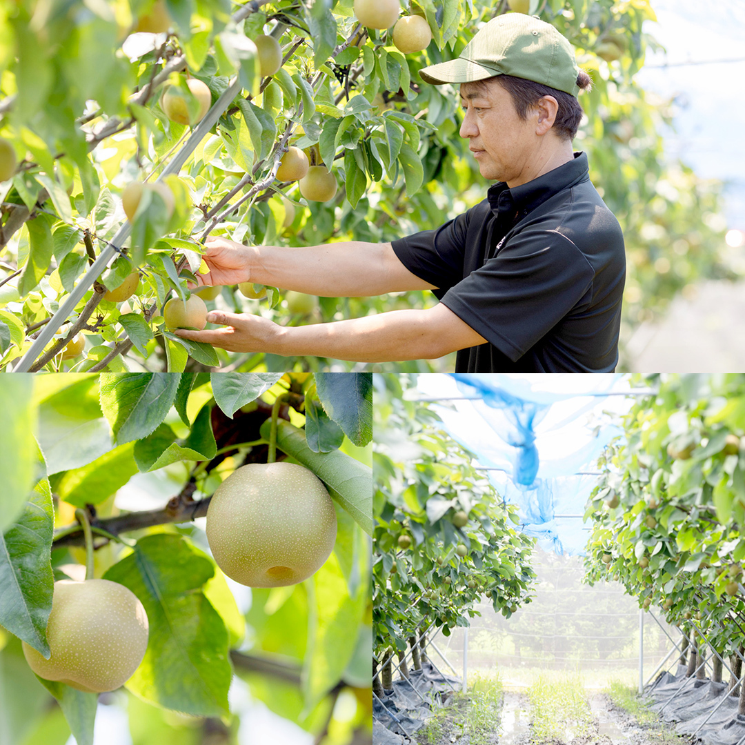 地元農家が作る つくばみらい市産 梨 を使った スパークリングワイン「KOU」 1本と ジャム 2個セット 幸水 豊水 やわら飯塚農園 パン ヨーグルト かき氷 アイス ピザ 朝食 おやつ シードル 
