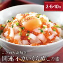 【ふるさと納税】海鮮丼の素 福井県の名店 うお吟 「開運イカいくらめしの素 選べる3・5・10食」行列店の味 おうちごはんを楽しく贅沢に【海鮮 海鮮丼 イクラ いか 人気 便利 おもてなし 小分け 丼 冷凍 便利 簡単 お中元 御中元 お歳暮 ギフト 贈り物 プレゼント】