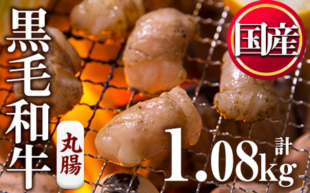 No.1001-03 黒毛和牛丸腸(計1kg)国産 九州産 牛肉 黒毛和牛 和牛 ホルモン 焼肉 鉄板焼き もつ鍋 冷凍 小分け【カミチク】