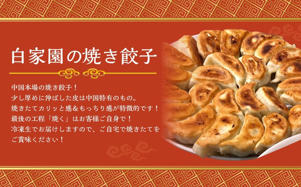 【全6回定期便】【詰め合わせ】ぶたまん20個×焼餃子10個×焼小籠包8個 ／ 中華 点心 惣菜 豚まん ギョーザ セット