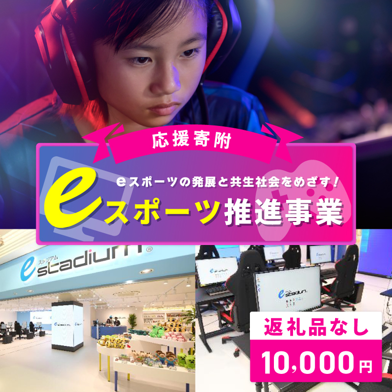 【返礼品なし】eスポーツの発展と共生社会の実現をめざす！eスポーツ推進応援寄附（大阪府泉佐野市） ON0012