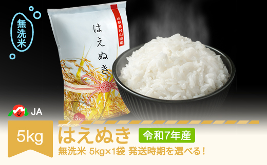米 5kg はえぬき 無洗米 令和7年産 2026年6月上旬 ja-hamxa5-6a
