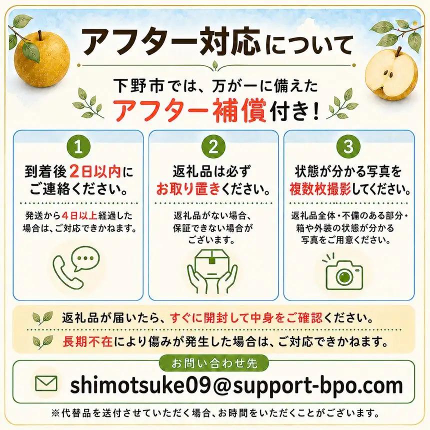 梨 あきづき 秀品 3kg 【栃木県共通返礼品】栃木県産