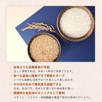 ふるさと納税 境町 米 玄米 コシヒカリ 30kg 令和8年産 国産 茨城県 境町産 大容量 数量限定 こしひかり お米 |  | 01