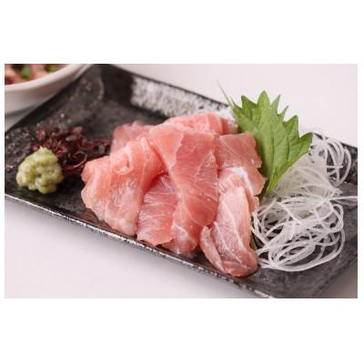 ふるさと納税 西脇市 天然メバチマグロ 希少部位 ハラモ 切り落とし(腹身) 約1kg (500g×2P)16-10 |  | 01