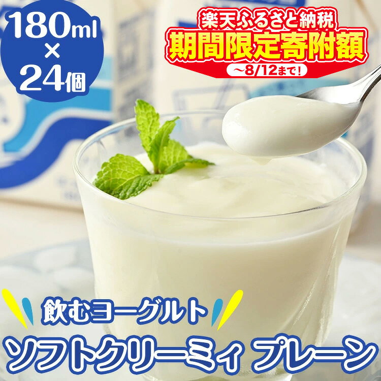 【ふるさと納税】＼楽天限定寄附額~8/12まで!／11-E 会津の雪 ソフトクリーミィ ヨーグルト（24個セット）