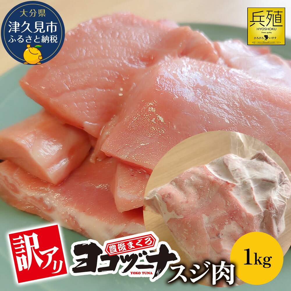 【ふるさと納税】豊後まぐろ ヨコヅーナ 訳あり スジ肉 1kg | 本鮪 マグロ 大分県 九州 津久見市 国産