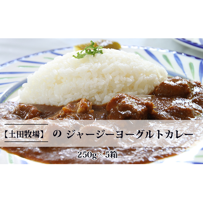 ジャージーヨーグルトカレー 250g×5箱 加工食品 惣菜 レトルト インスタント 