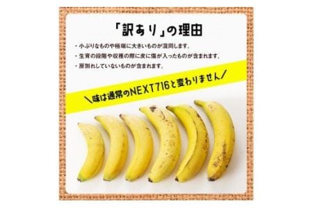 【定期便】【訳あり】国産バナナ1kg　3ヶ月定期便【国産 バナナ 無農薬 フルーツ 果物 デザート 朝食 スムージー 訳ありバナナ 全3回】