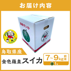 【先行予約】鳥取県北栄町産 金色羅皇スイカ 1玉 7-9キロ前後（こちらの返礼品は、大栄西瓜ではありません）【西瓜 西瓜 すいか すいか 果物 くだもの フルーツ】