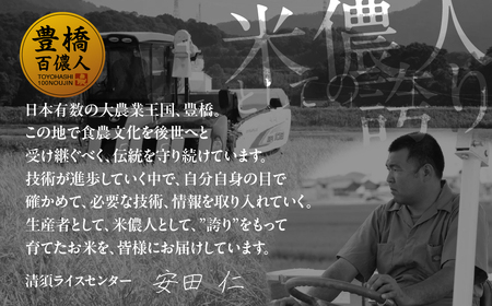 令和7年産 白銀の穂 10kg お米 お米
