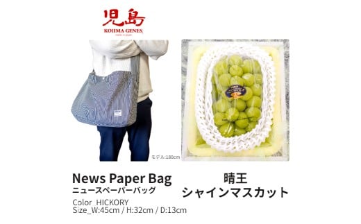 【全2回定期便】 家庭用 シャインマスカット 晴王 2房（1房約530g以上）＋ NEWS PAPER BAG（Hickory） フルーツ 果物 ブドウ ぶどう 葡萄 シャインマスカット マスカット 