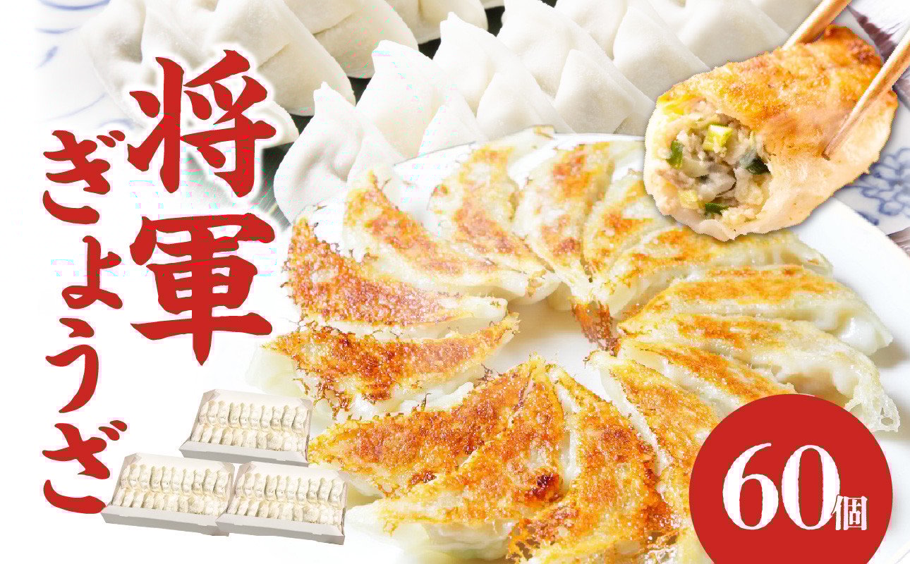 
            餃子専門店の餃子 将軍餃子 60個 餃子 ぎょうざ ギョーザ おかず 中華 料理 焼き餃子 惣菜 専門店 人気 A02033
          